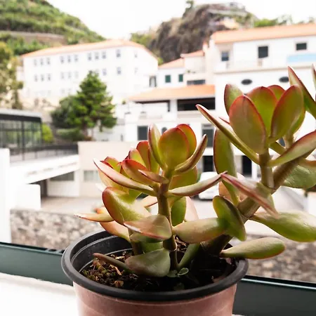 Villa Ponta Do Sol Apartment *